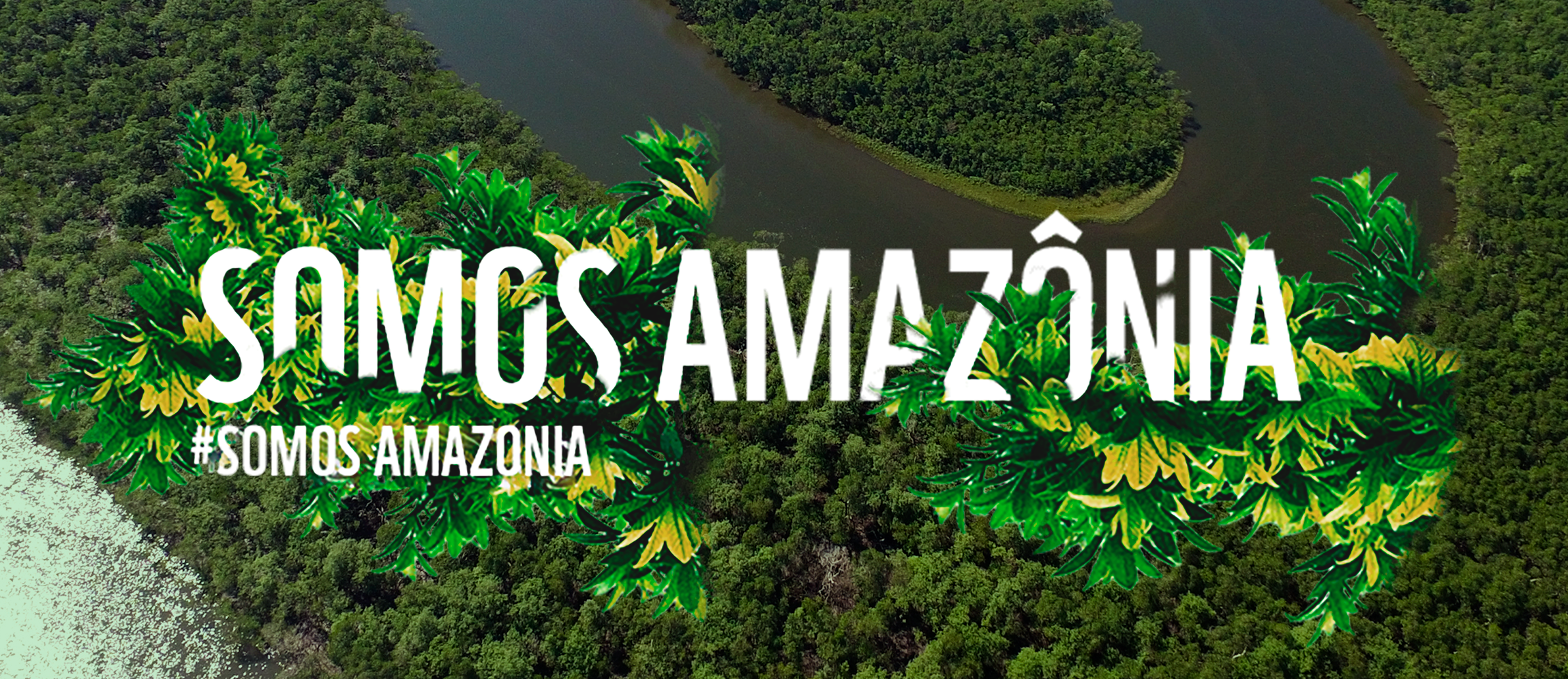 AMAZÔNIA BRASIL AMAZÔNIA BRASIL