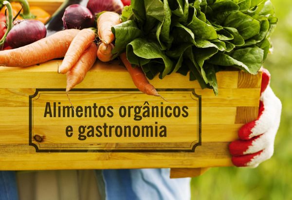 AGROECOLOGIA AMÉRICA DO SUL JÁ 03 AGROECOLOGIA AMÉRICA DO SUL JÁ 03