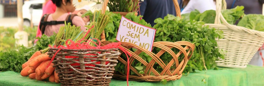 AGROECOLOGIA AMÉRICA DO SUL JÁ 06 AGROECOLOGIA AMÉRICA DO SUL JÁ 06