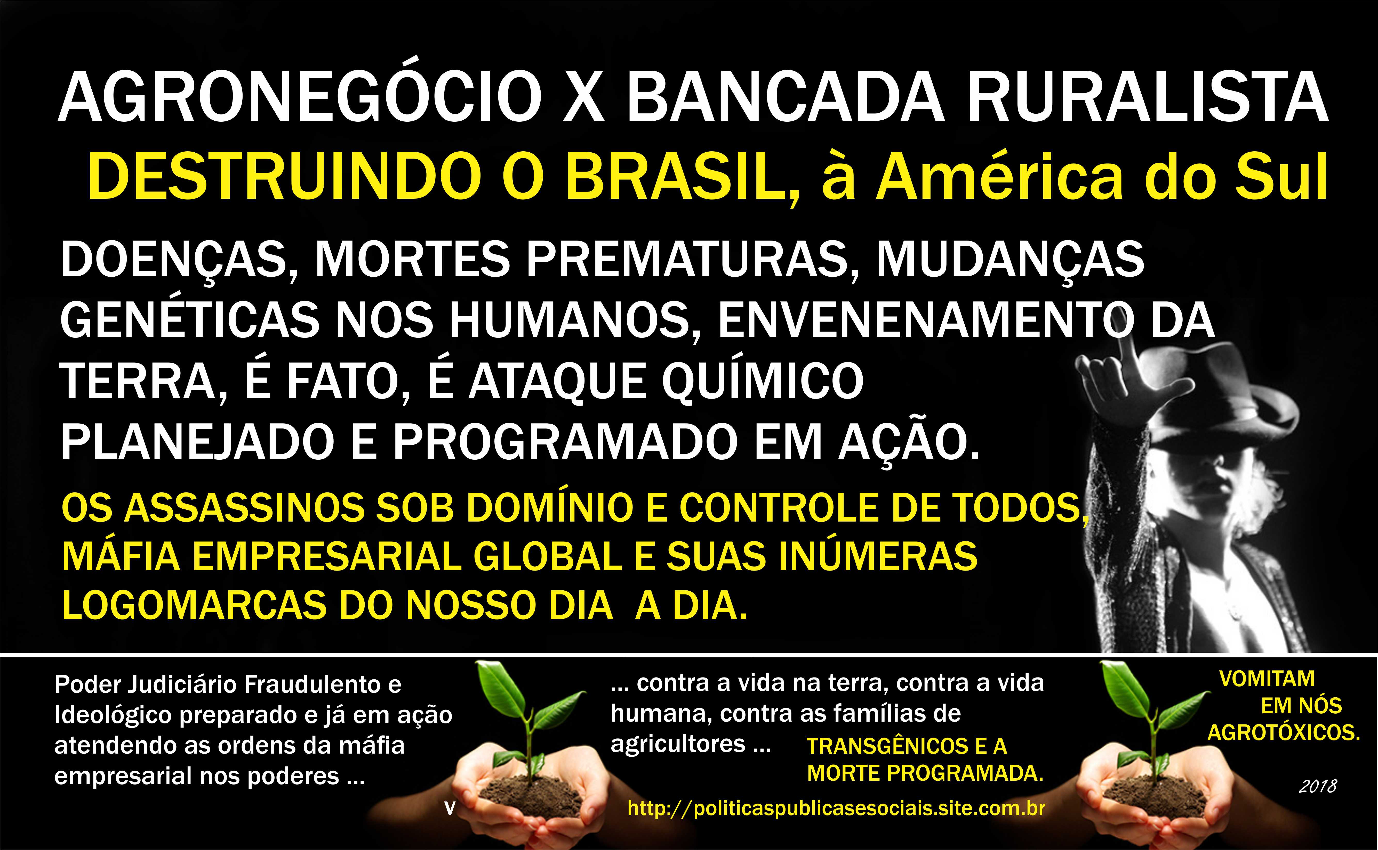 AGROTÓXICOS MATA 04 AGROTÓXICOS MATA 04