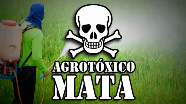 AGROTÓXICOS MATA 10 AGROTÓXICOS MATA 10