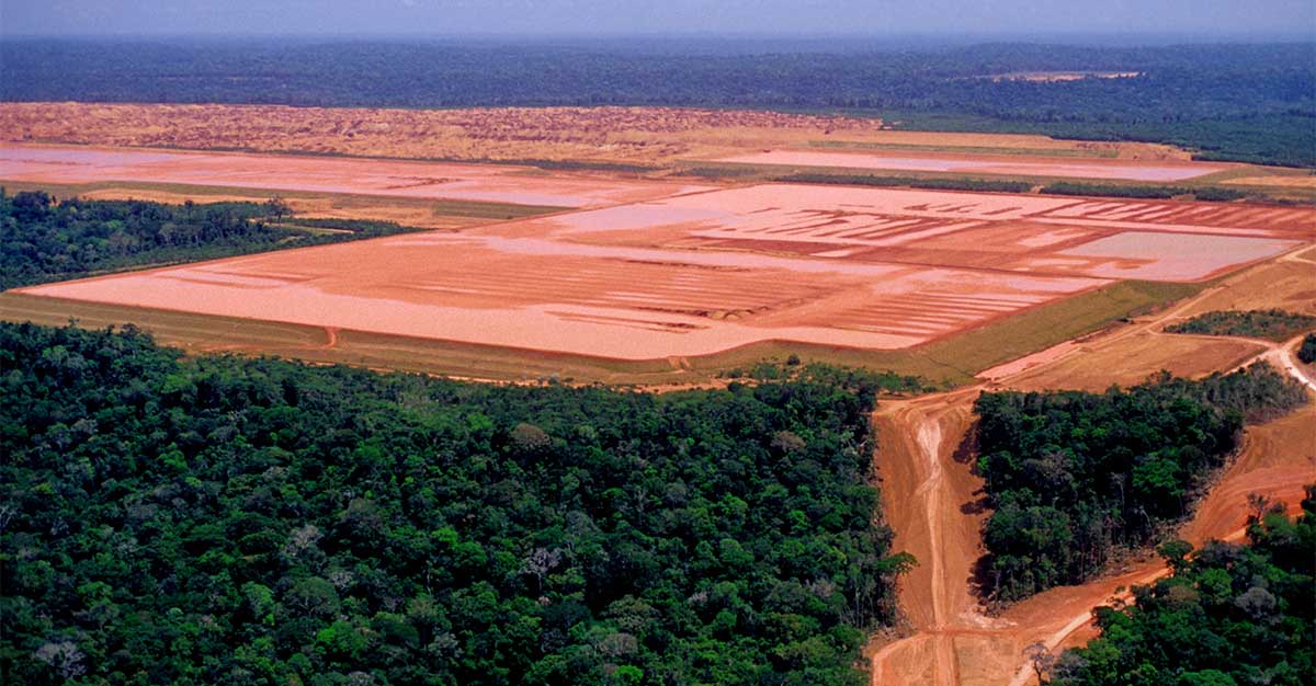 Extraction of bauxite in the middle of the Amazon. Extraction of bauxite in the middle of the Amazon.