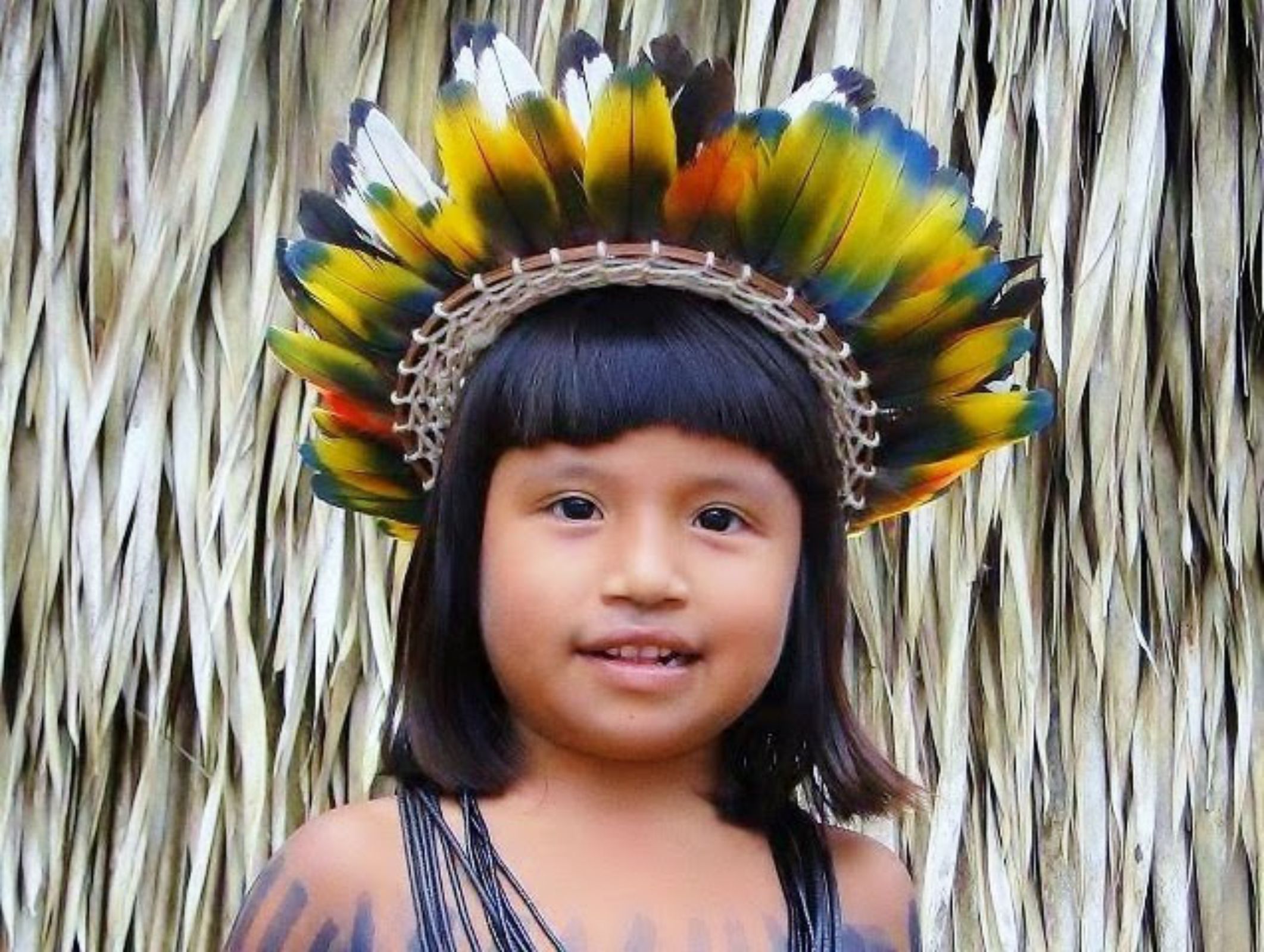 ÍNDIOS DO BRASIL 001 ÍNDIOS DO BRASIL 001