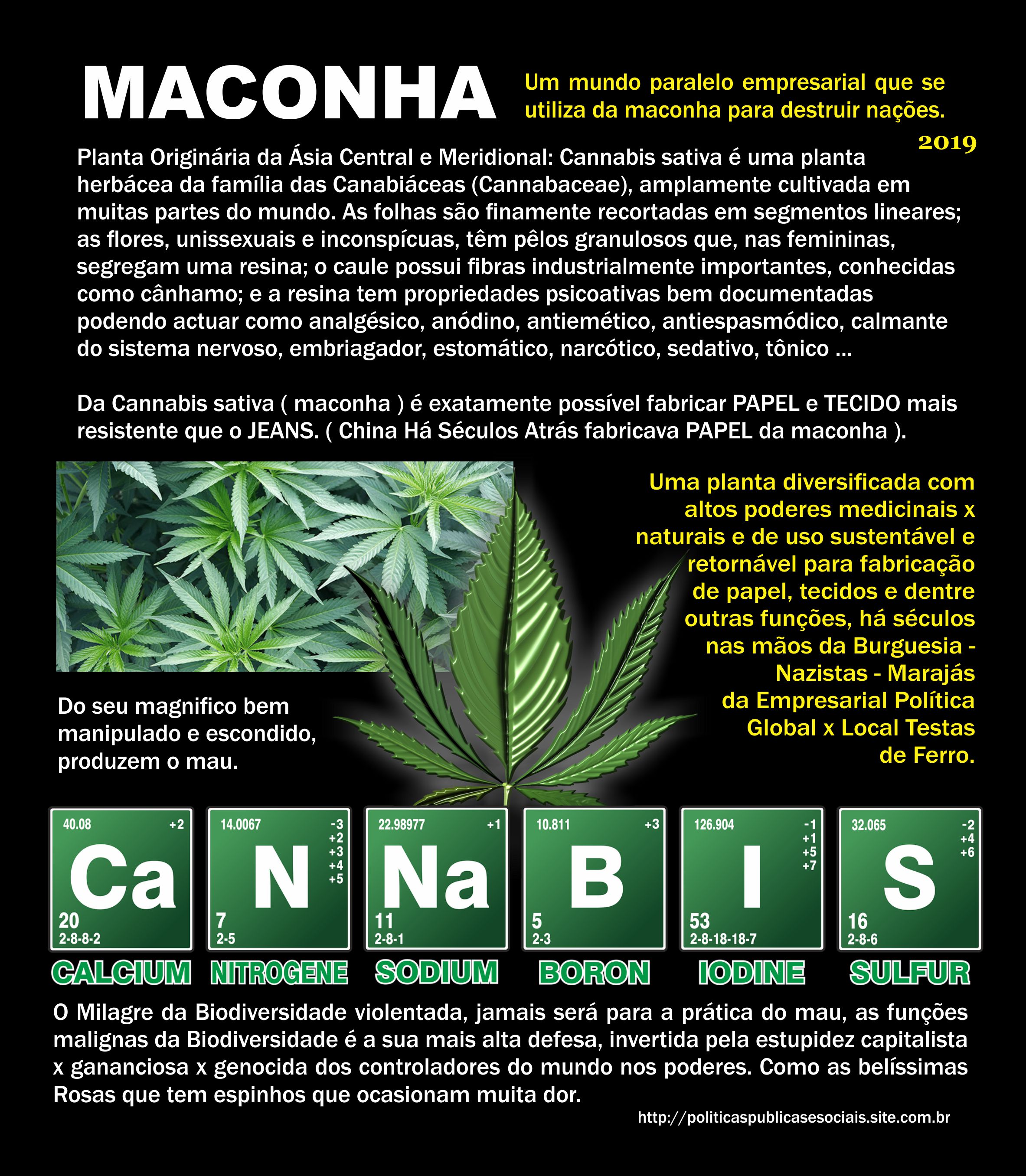 Maconha No Mundo Cannabis Américas do Sul e Central Maconha No Mundo Cannabis Américas do Sul e Central