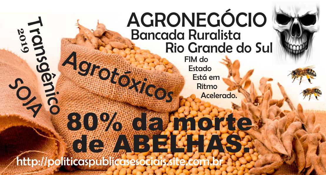 ABELHAS RIO GRANDE do SUL BRASIL ABELHAS RIO GRANDE do SUL BRASIL