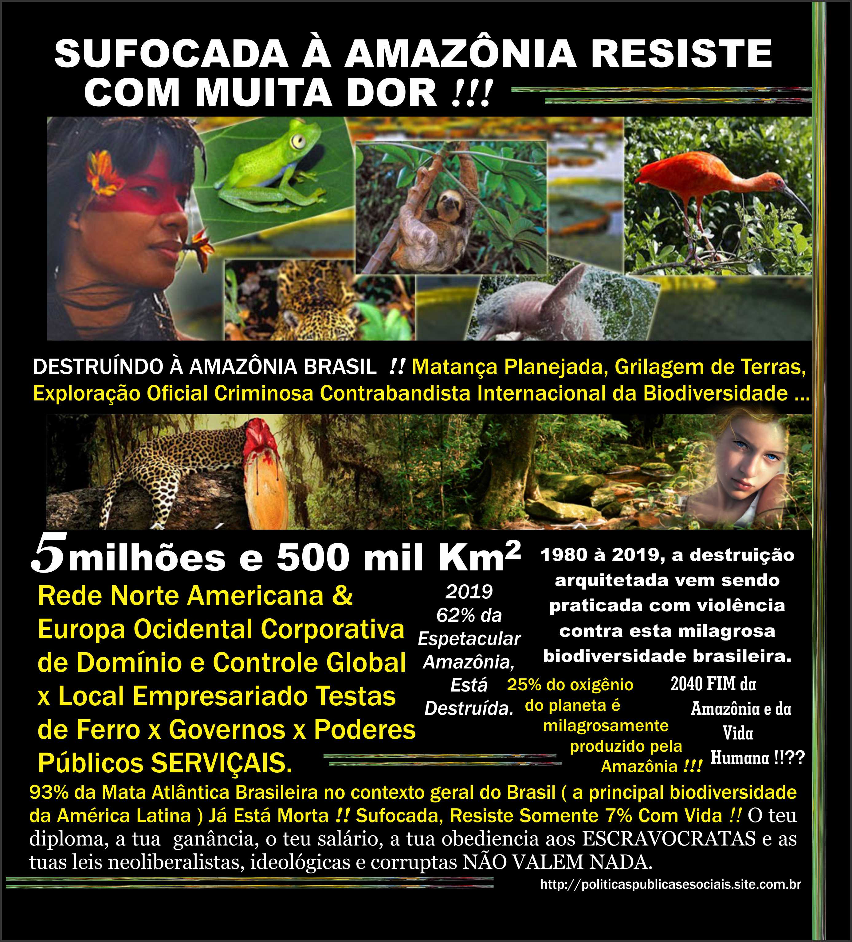 AMAZÔNIA BRASIl América do Sul Planeta Terra x Vida AMAZÔNIA BRASIl América do Sul Planeta Terra x Vida