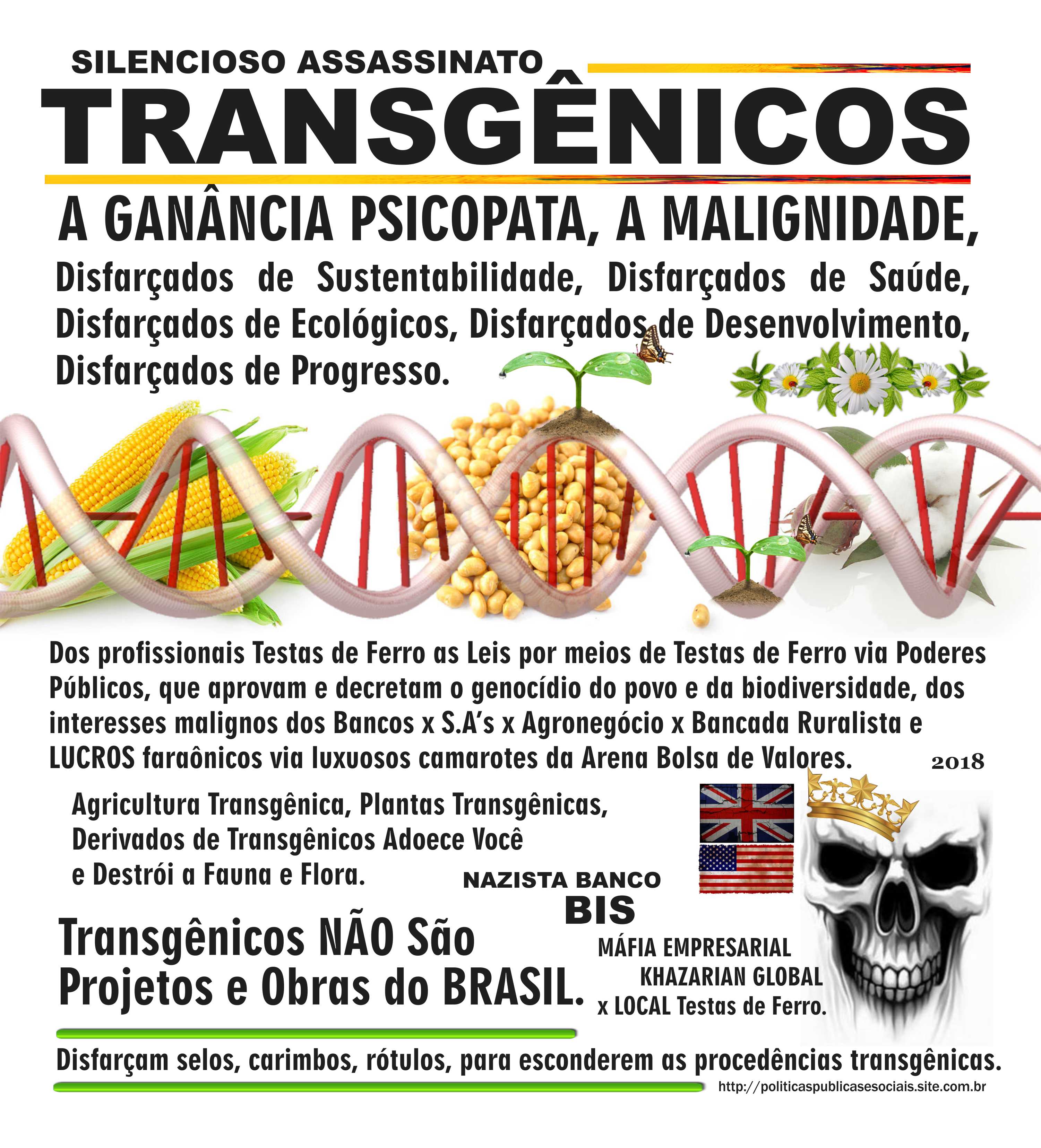 TRANSGÊNICOS ASSASSINOS TRANSGÊNICOS ASSASSINOS