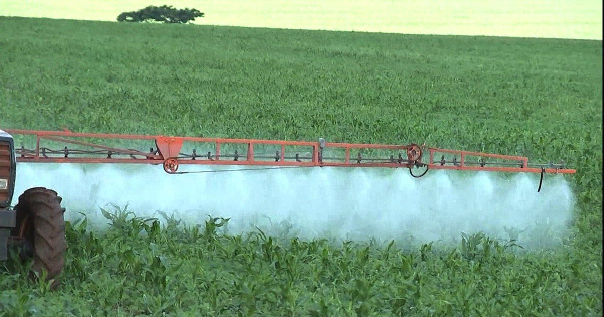 Agrotóxicos 02 Agrotóxicos 02