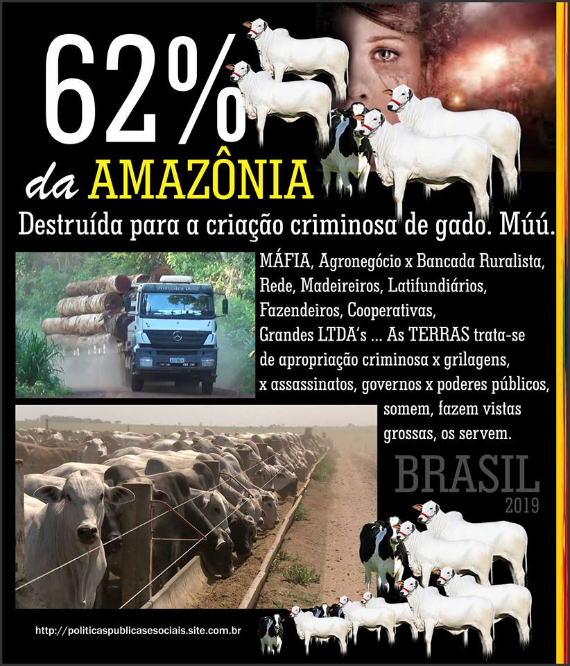 Amazônia Brasil América do Sul Amazônia Brasil América do Sul