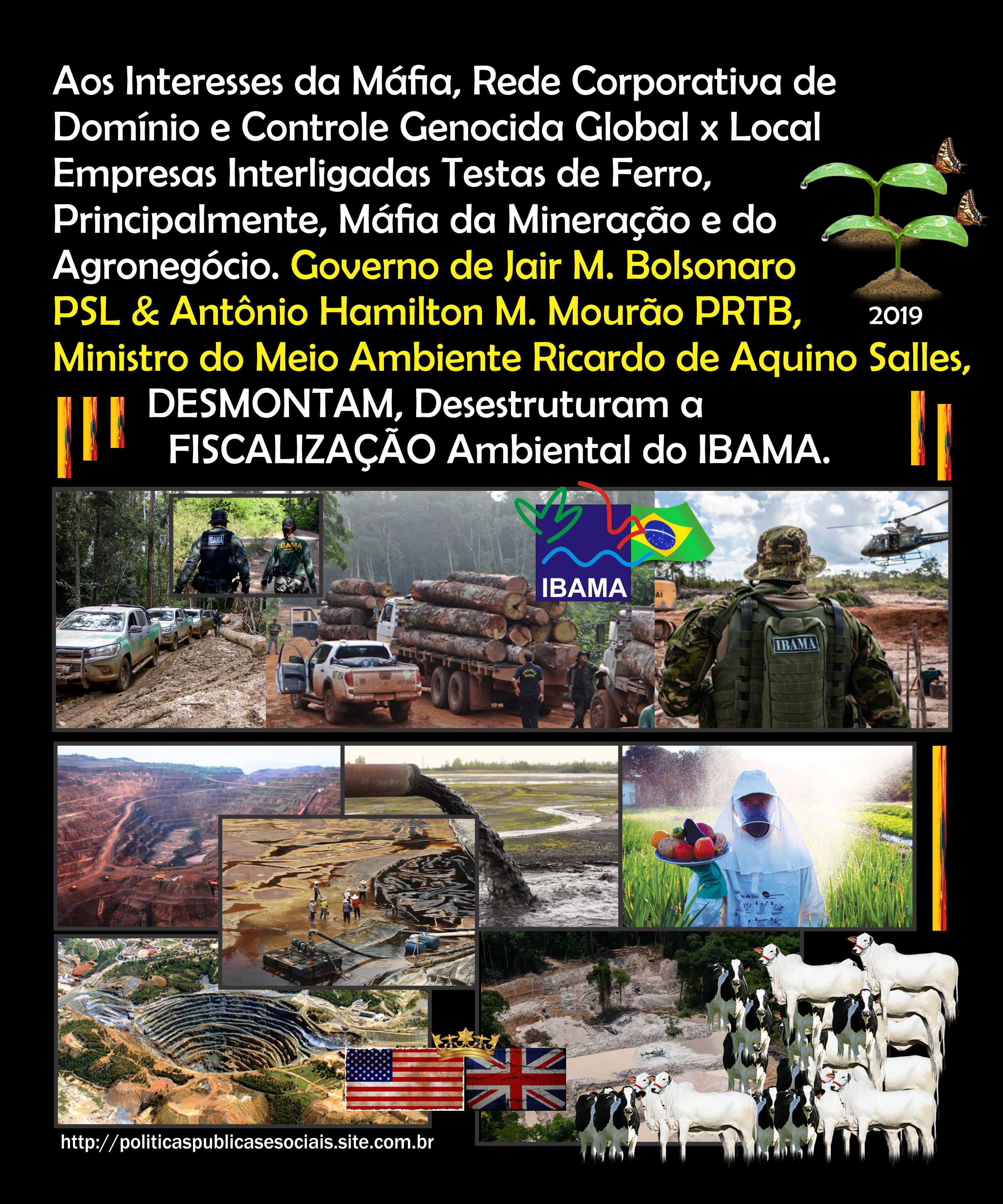 IBAMA BRASIL IBAMA BRASIL